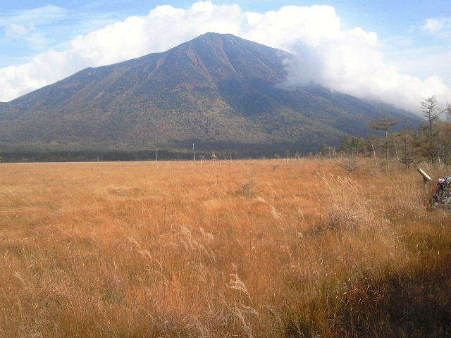 e0064133_23444324.jpg