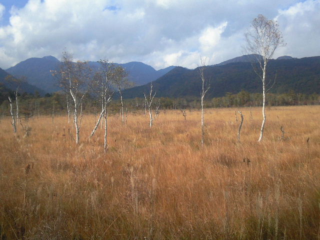 e0064133_23444931.jpg