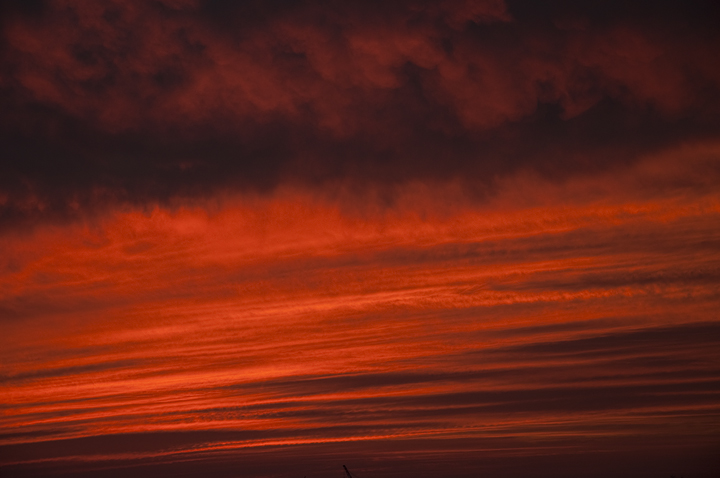 c0162536_1991359.jpg