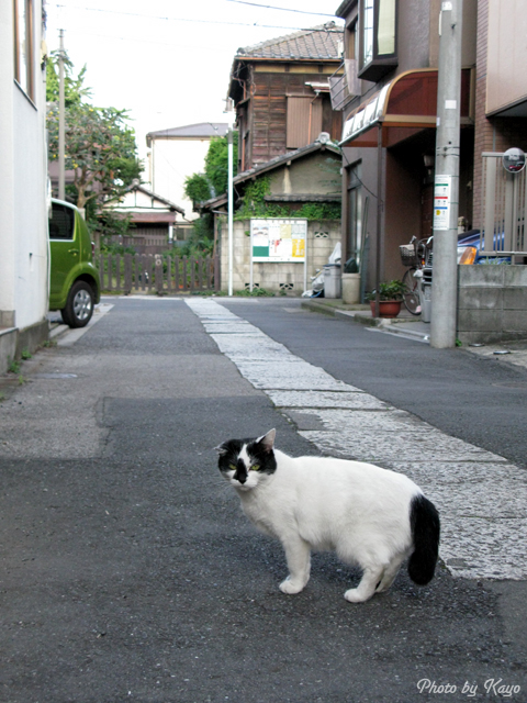 a0117440_6243467.jpg