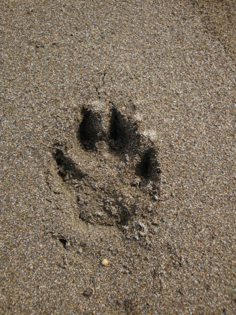 e0158841_11244736.jpg