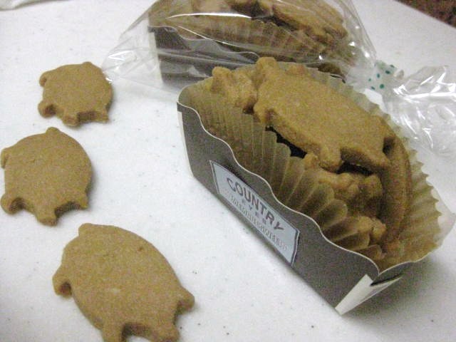 b0123044_836930.jpg