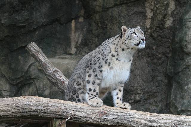 e0123945_635421.jpg