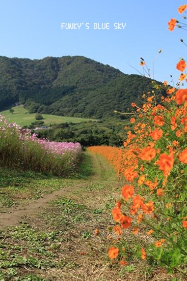 c0145250_216458.jpg