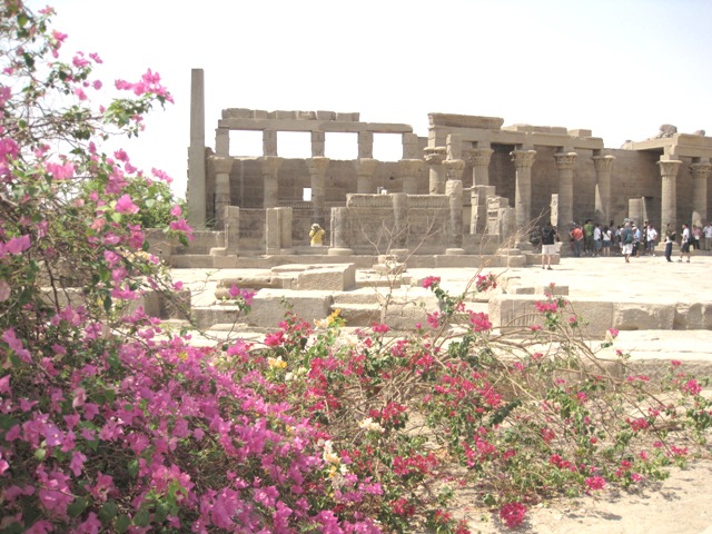 b0173754_1132960.jpg