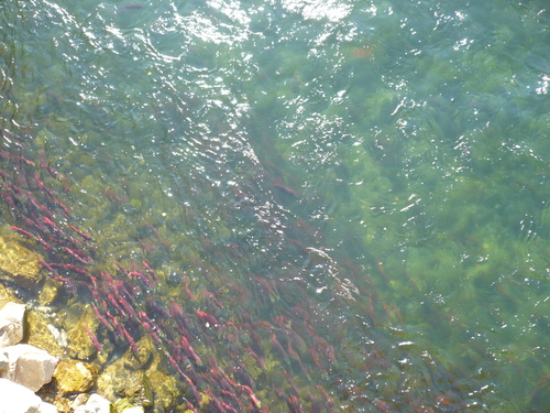 f0214562_713614.jpg