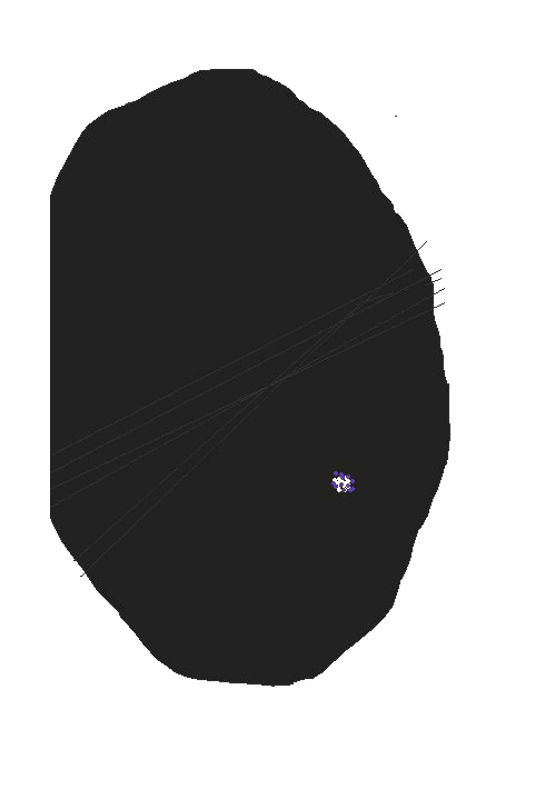 a0134863_11195181.gif