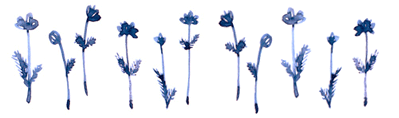 c0224767_188324.gif