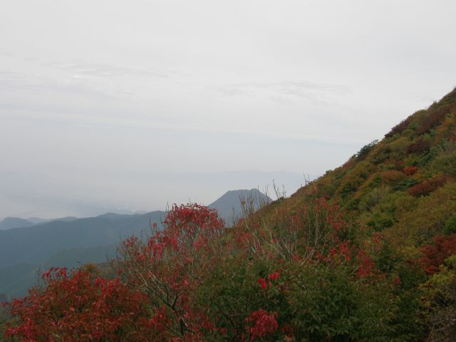 c0042869_1518152.jpg