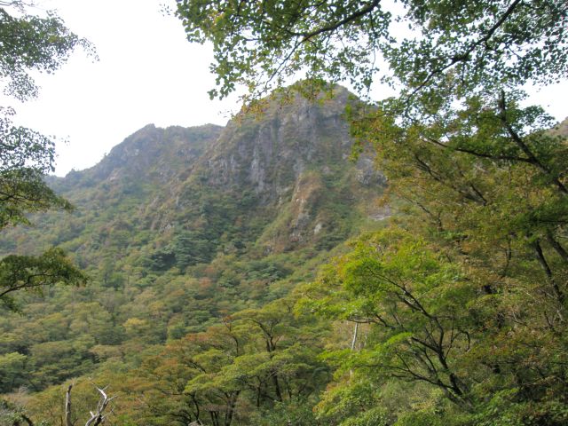 c0042869_1534338.jpg