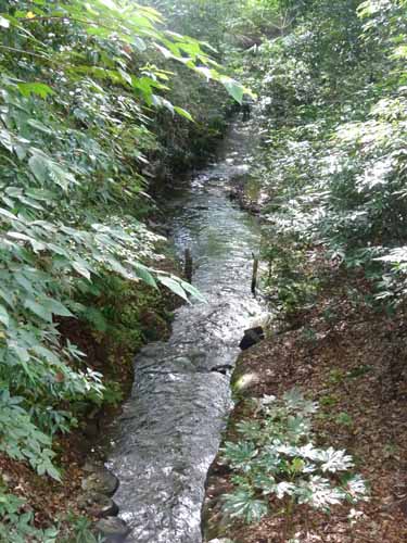 f0086169_21281858.jpg
