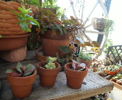 f0237680_9523326.jpg