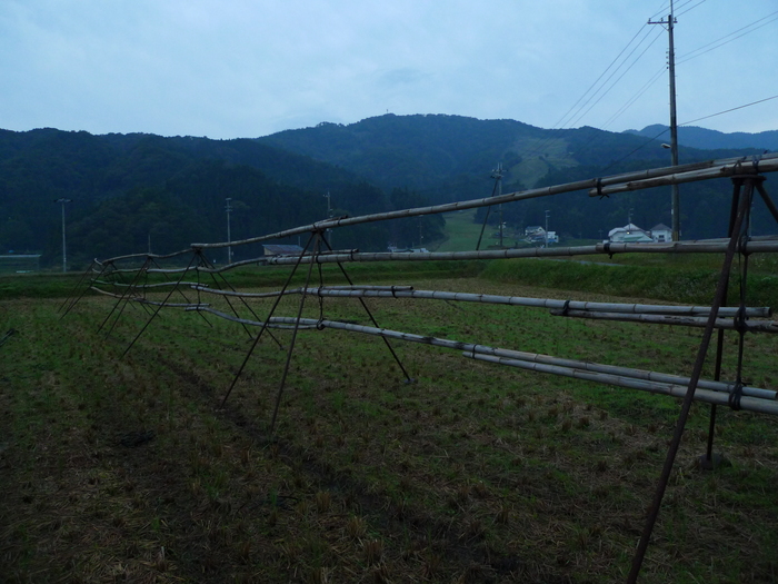 e0024081_2021335.jpg