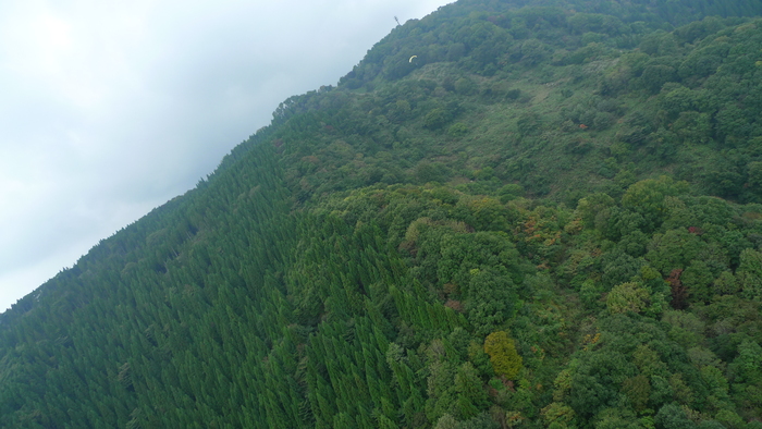 e0024081_2028869.jpg