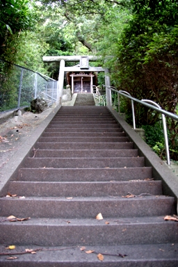 d0080882_1018739.jpg
