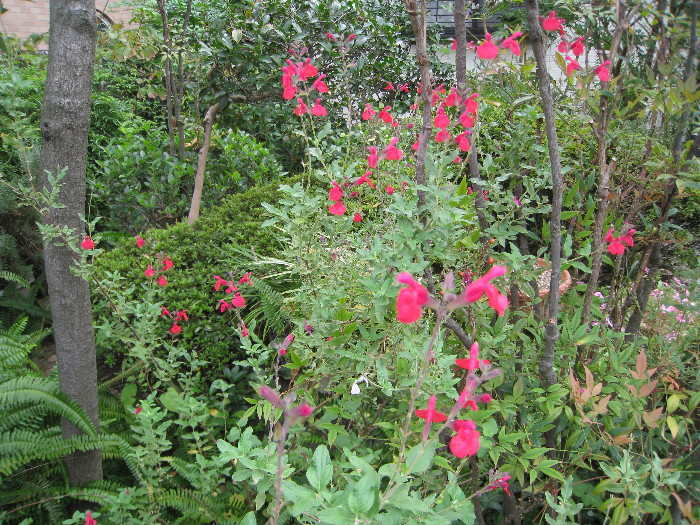 c0132387_23403012.jpg