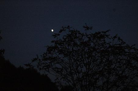 c0123890_20512625.jpg