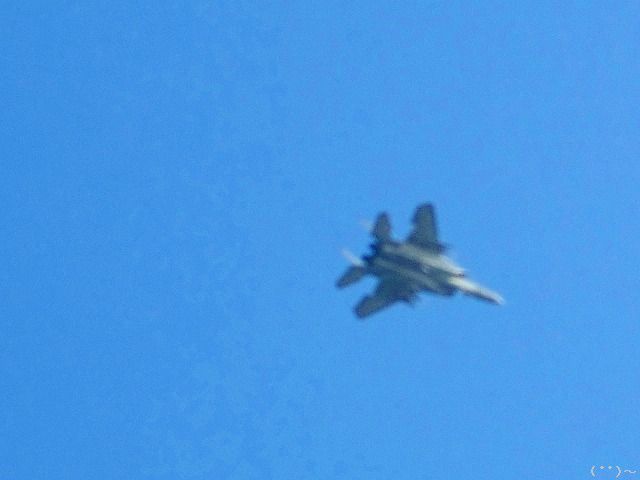 b0207491_15394677.jpg