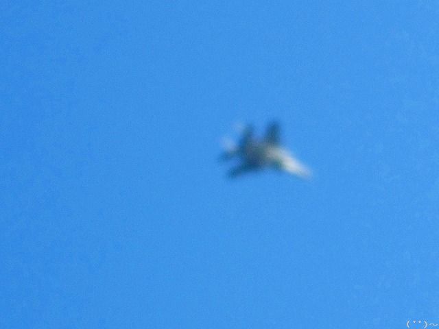 b0207491_1540758.jpg