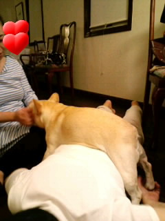 c0023399_1521587.jpg