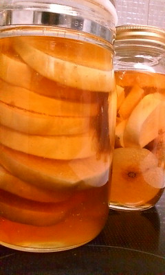 f0187704_1148379.jpg
