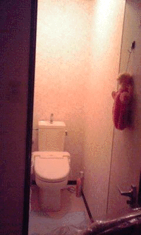 e0103408_14391937.gif