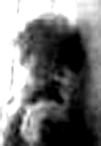 e0103408_143958.gif
