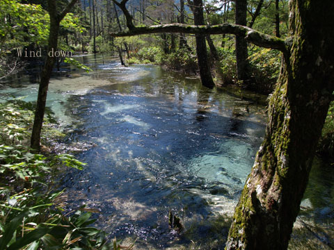 a0021110_1424365.jpg