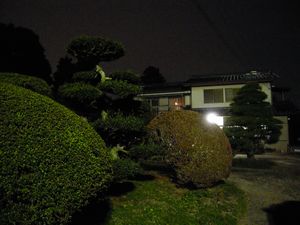 d0078311_856820.jpg