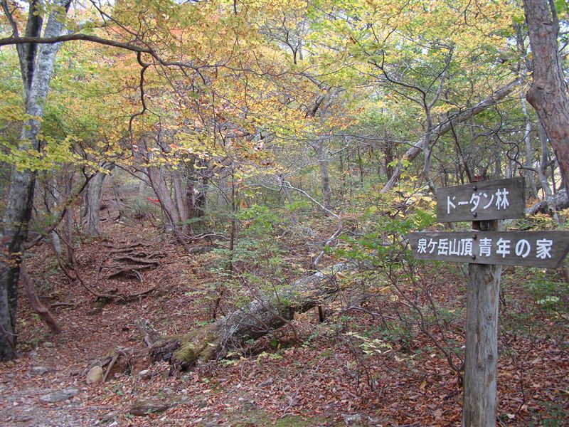 a0127015_18172873.jpg