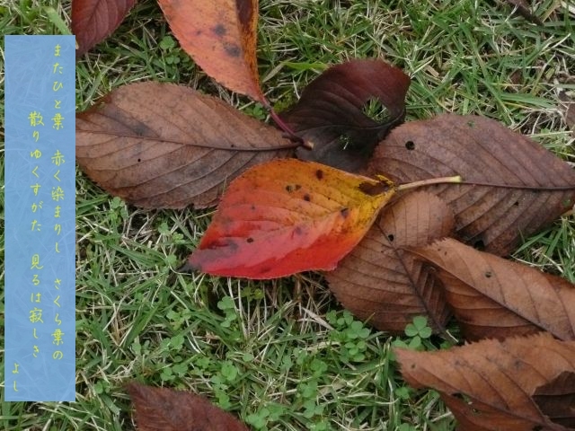 e0033229_22271647.jpg