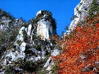 a0155430_14315860.jpg