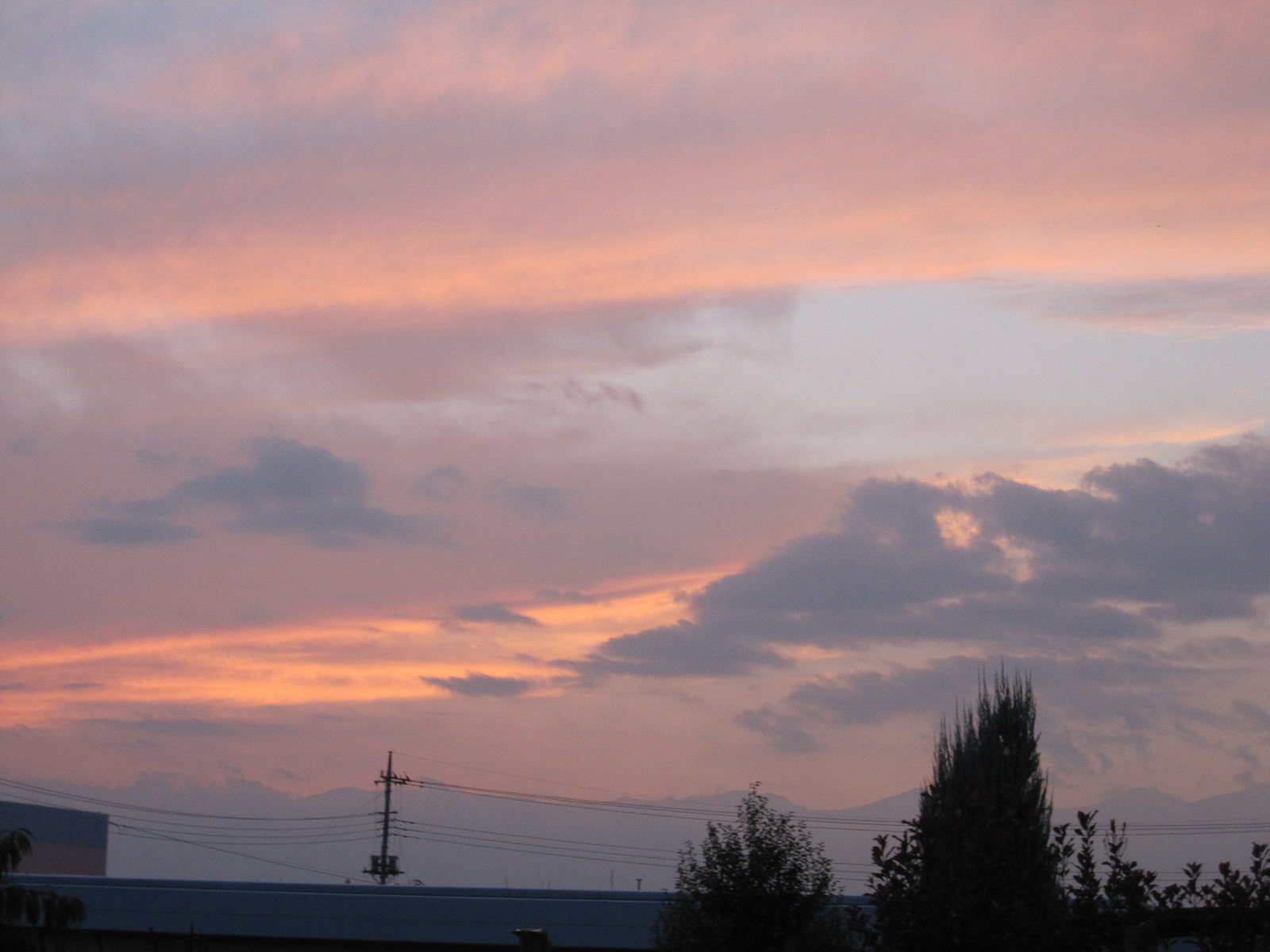 a0155430_14493741.jpg