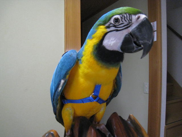 e0107730_2118285.jpg