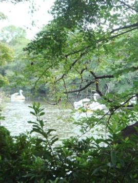 b0151533_22324494.jpg
