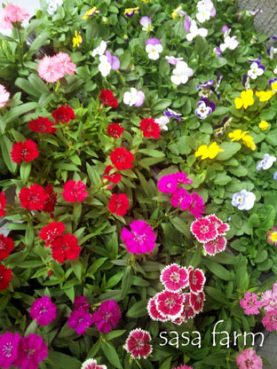 f0215833_20304791.jpg