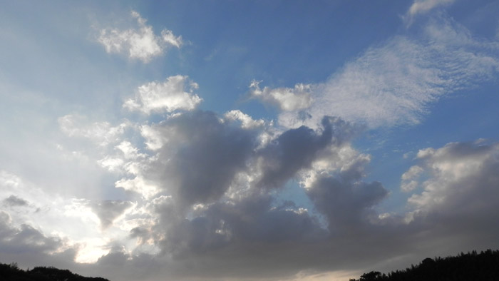 e0053535_22102548.jpg