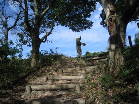 c0077338_23385545.jpg