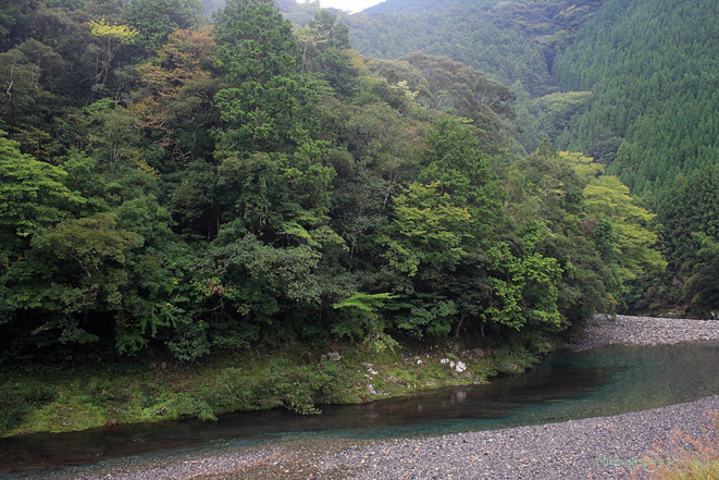 e0083238_2082223.jpg