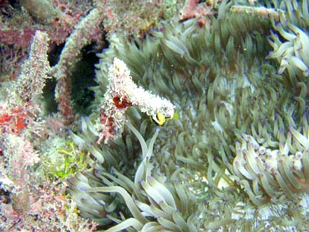 f0014842_14135876.jpg