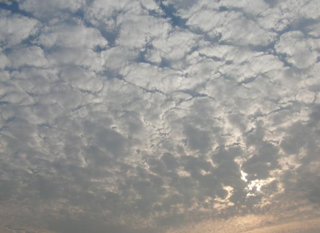 c0156345_16411394.jpg