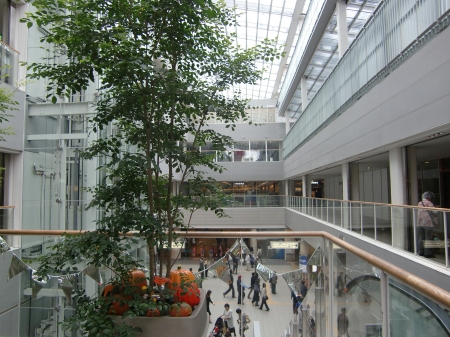 c0206352_1751424.jpg