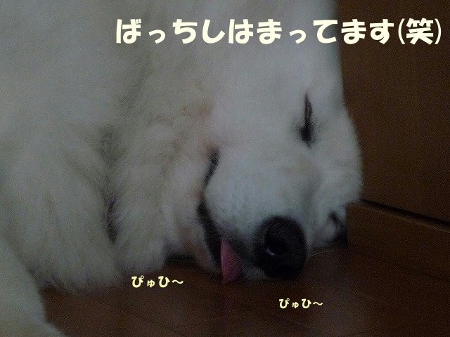 e0176159_11105517.jpg