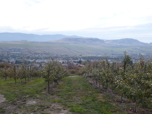 f0214562_715389.jpg