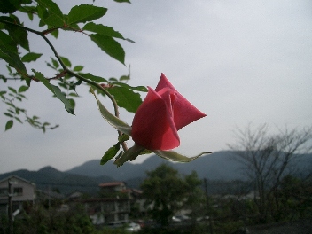 c0186463_16574985.jpg