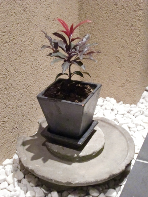c0207868_16412961.jpg