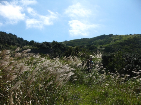f0175875_1726212.jpg