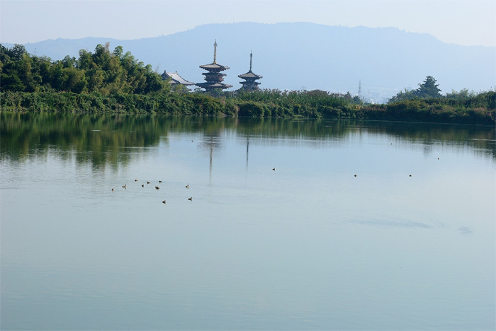 f0108478_16445564.jpg