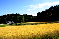 c0057781_14220100.jpg