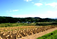 c0057781_1444948.jpg